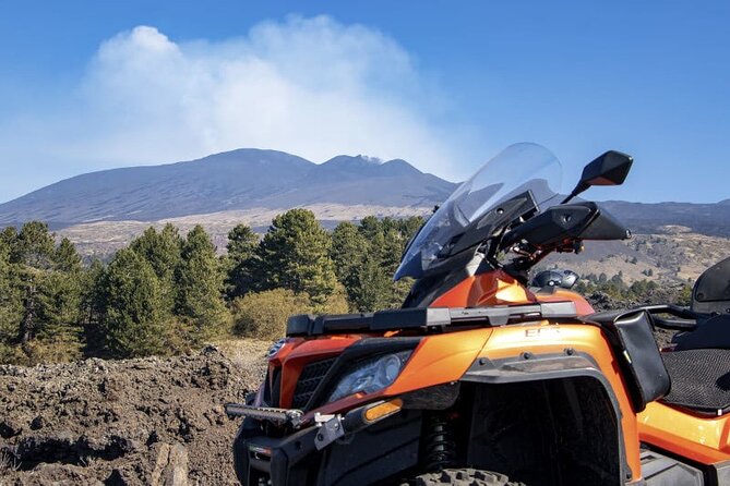 1 1/2 - 2 Hours Guided Excursion of Etna by Quad - Broom forest, lava channels, and Etna pines on the return