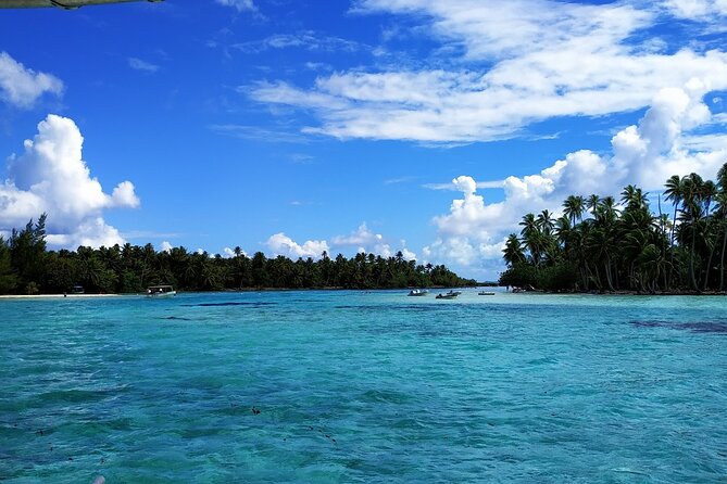 1/2 day Tahaa coral garden - departure Raiatea / ideal for cruise passengers - Why the Tahaa Coral Garden tour works for Raiatea cruise stops