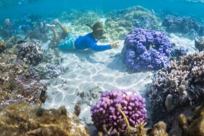 1/2 day Tahaa coral garden - departure Raiatea / ideal for cruise passengers - Getting to Tahaa: fast boat transport and a simple flow