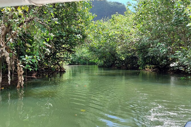 1/2 day "Treasures of Raiatea" by boat - ideal for cruise passengers - Key highlights you’ll feel right away