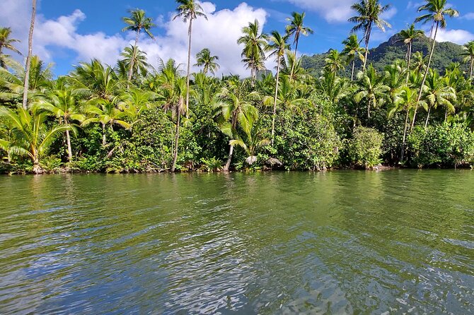 1/2 day "Treasures of Raiatea" by boat - ideal for cruise passengers - Where it starts (and why that matters for cruise days)
