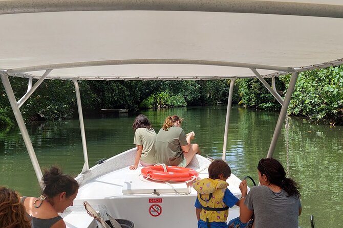 1/2 day "Treasures of Raiatea" by boat - ideal for cruise passengers - Lagoon cruising between stops: the color of Raiatea, plus wildlife chances