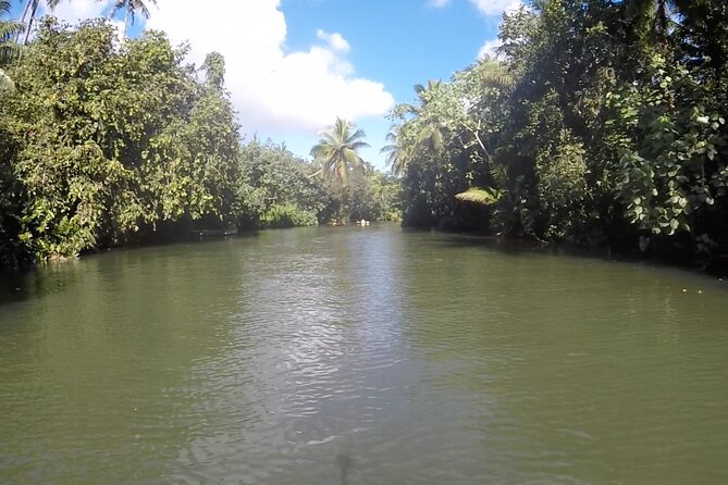 1/2 day "Treasures of Raiatea" by boat - ideal for cruise passengers - Price and value: what $144.54 is actually paying for