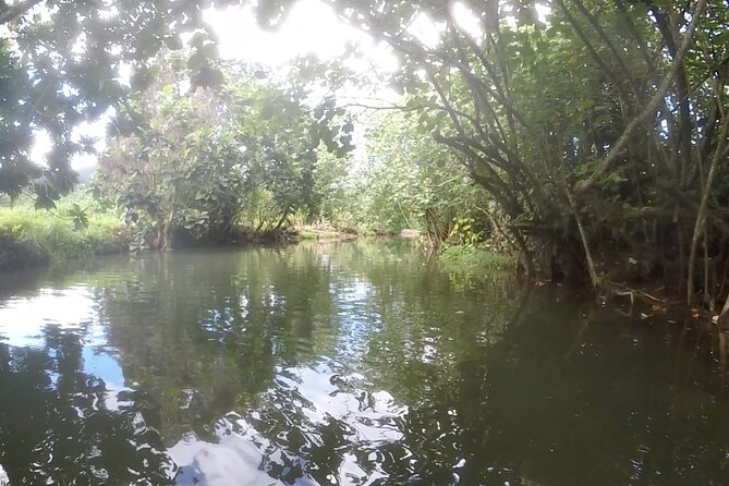 1/2 day "Treasures of Raiatea" by boat - ideal for cruise passengers - Weather and comfort: the one variable you can’t control