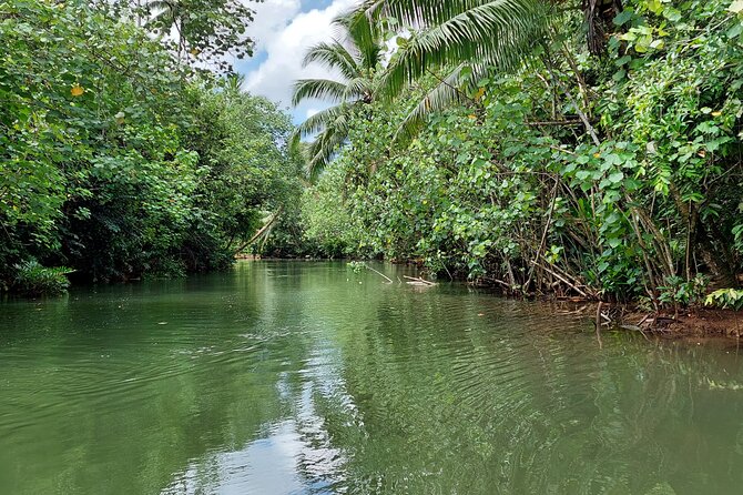 1/2 day "Treasures of Raiatea" by boat - ideal for cruise passengers - Best fit: who this tour suits (and who might want a different plan)