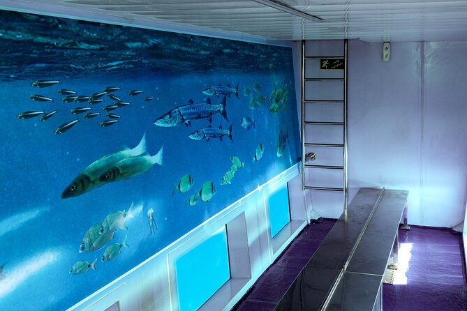1-hour boat trip around the Port of Mahón - Glass-Bottom Viewing: When You Should (and Shouldn’t) Plan Around It
