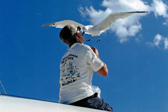 1-hour boat trip around the Port of Mahón - Comfort Tips for a Hot Day on the Water