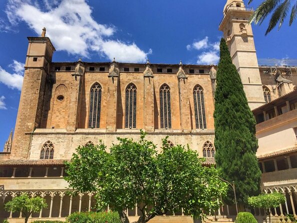 1 Hour Electric Scooter Tour in Palma - Why a 1-hour e-scooter tour is the right time in Palma