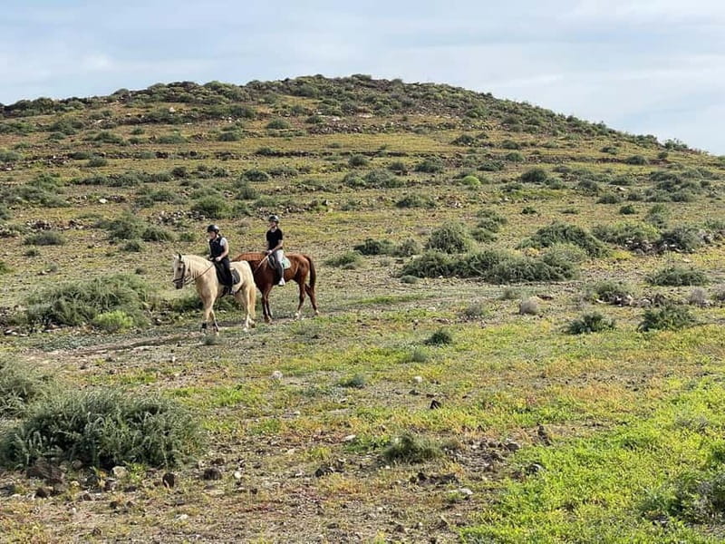 1 hour relaxing horse riding tour in Gran Canaria - Language and Comfort: The Guide Makes a Difference