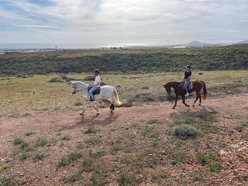 1 hour relaxing horse riding tour in Gran Canaria - Why This Gran Canaria Horse Ride Feels Relaxing for 1.5 Hours