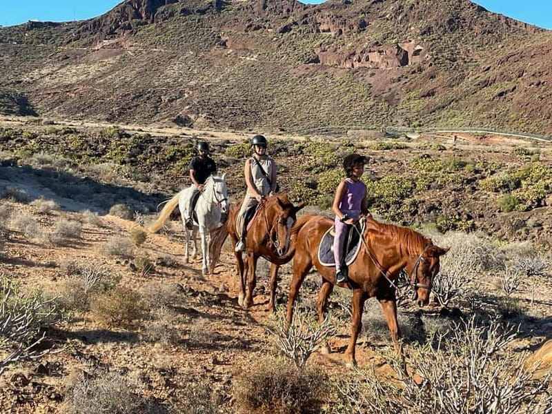 1 hour relaxing horse riding tour in Gran Canaria - The Countryside Route: Sea Views, Mountains, and a Quiet Horse