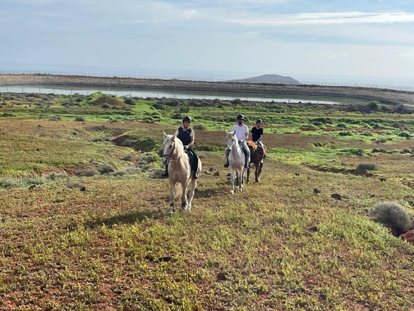 1 hour relaxing horse riding tour in Gran Canaria - What Happens During Your 1.5 Hours (and What the Horse Care Includes)