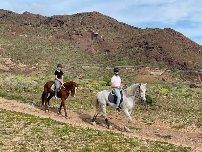 1 hour relaxing horse riding tour in Gran Canaria - Price and Value: Why $40 Can Make Sense Here