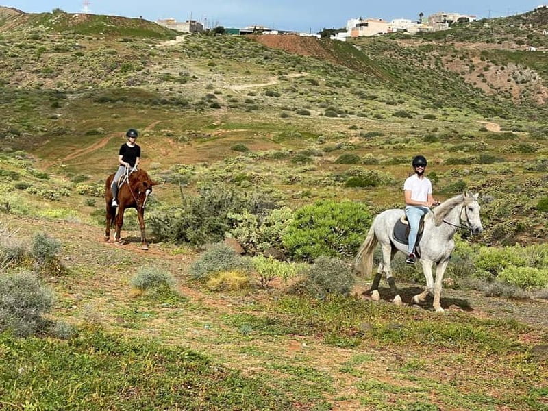 1 hour relaxing horse riding tour in Gran Canaria - Who This Tour Suits Best on Gran Canaria