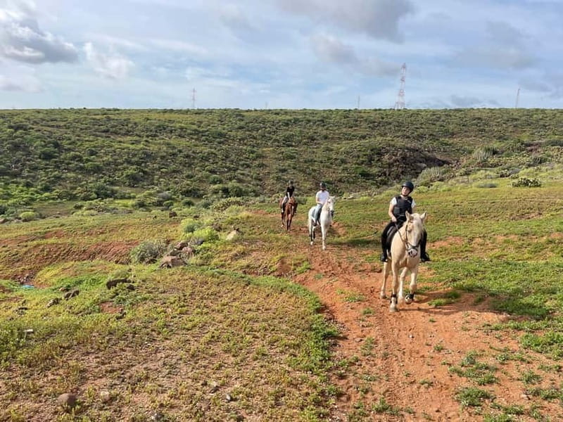 1 hour relaxing horse riding tour in Gran Canaria - Getting Oriented at the Barn: Helmets, Back Protectors, and Horse Assignments