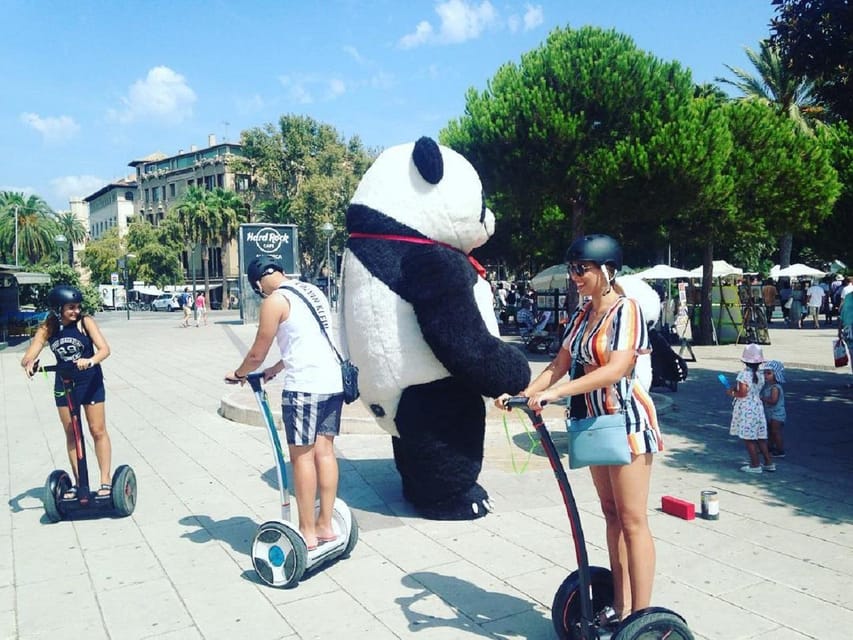 1 Hour Segway tour in Palma de Mallorca - Guides make the difference: Juan and Mario’s safety-first approach
