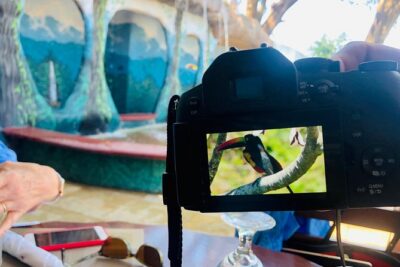 10 in 1 Puntarenas Highlights tour - Tarcoles River Cruise: crocs, birds, and a break from hiking