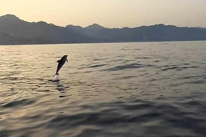 2.5 Hours Sunset Boat Tour in Search of Dolphins - Hour One: Isola Bella Views and Taormina Coast Caves