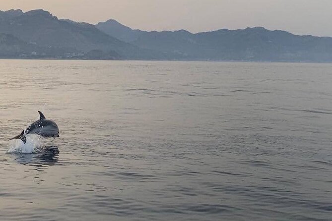 2.5 Hours Sunset Boat Tour in Search of Dolphins - The Dolphin Search Hour: Taormina Sea, Swimming, and Aperitivo
