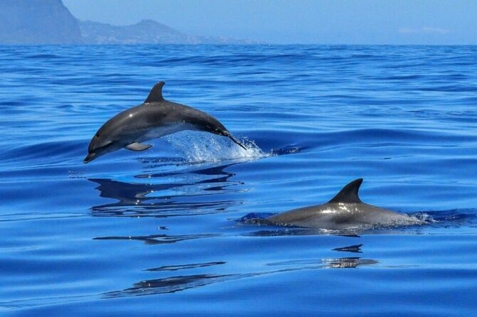 2.5 Hours Sunset Boat Tour in Search of Dolphins - Getting There in Giardini Naxos: The Easy Start