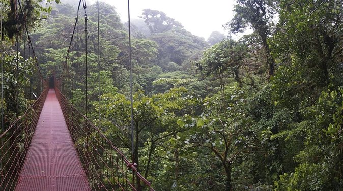 2-Day Extreme Nature Hike from La Fortuna to Monteverde - Quick Key Points Before You Go