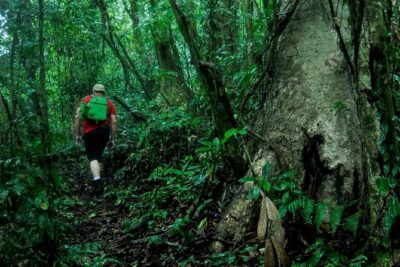 2-Day Extreme Nature Hike from La Fortuna to Monteverde - Day 2: From Valley Exit to Monteverde Cloud Forest and Santa Elena