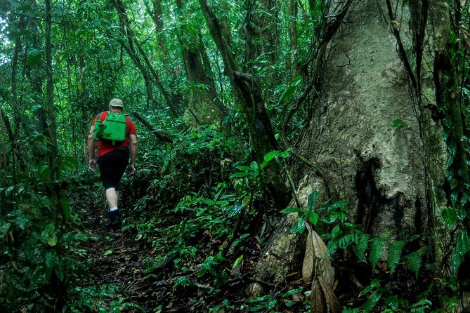 2-Day Extreme Nature Hike from La Fortuna to Monteverde - Day 2: From Valley Exit to Monteverde Cloud Forest and Santa Elena