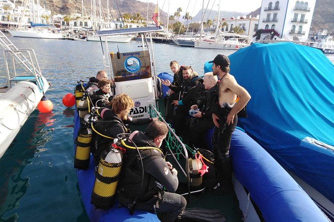 2 Dive Package for PADI Qualified Divers in Gran Canaria - Should you book this 2-session scuba package?