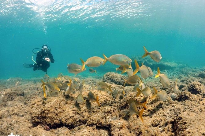 2 Dive Package for Qualified Divers in Gran Canaria - How the 5-hour Leagues Ahead scuba package runs from Playa del Inglés