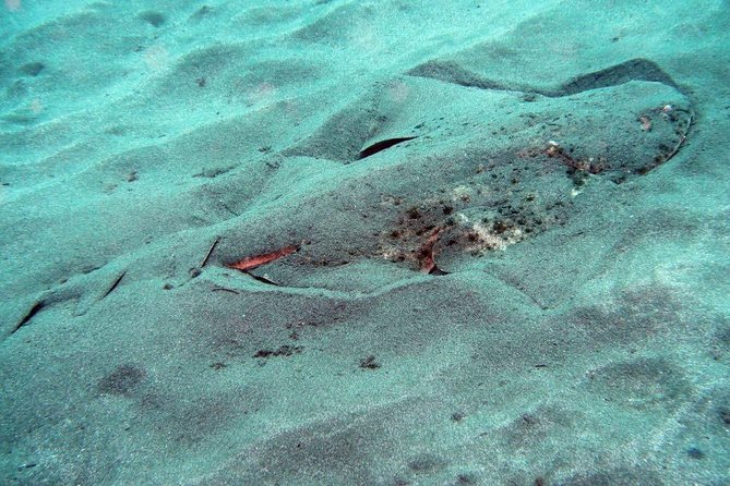 2 Dive Package for Qualified Divers in Gran Canaria - Who this scuba package fits best in Gran Canaria