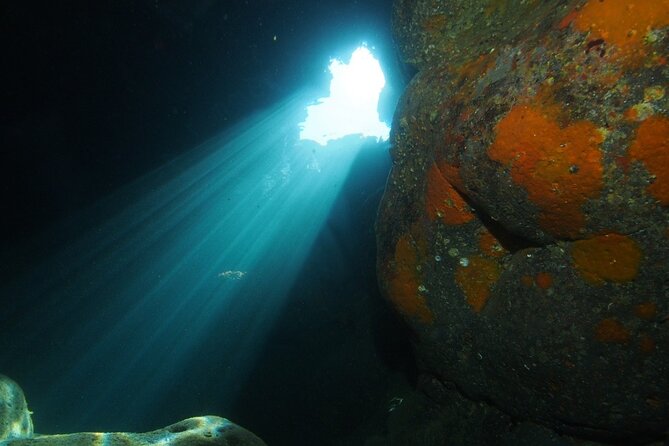 2 Dives from Diving Center (with full equipment) - Two underwater sessions with full gear: what you actually get