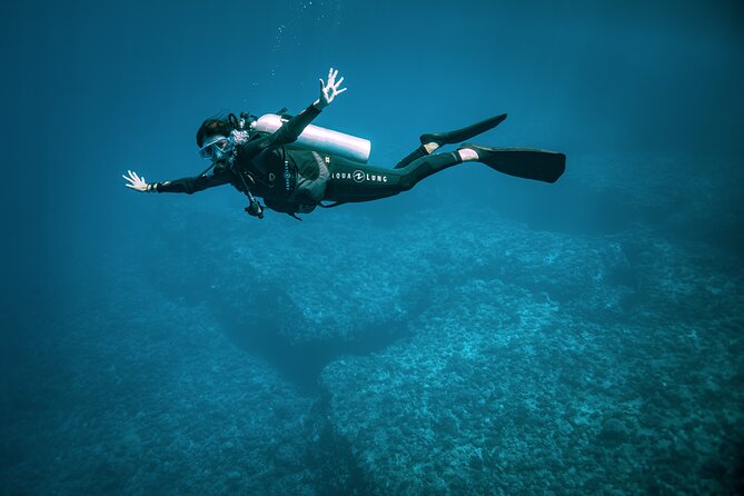 2 Dives in the morning for certified divers in Bora Bora - Nitrox option: free if you’re certified