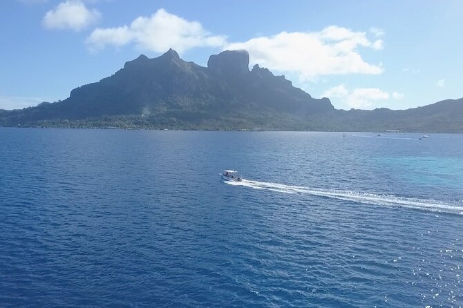 2 Dives in the morning for certified divers in Bora Bora - Who should book this Bora Bora morning plan (and who should skip it)