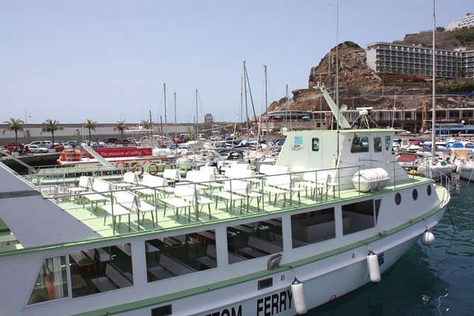 2-Hour Dolphin and Whale Watching in Gran Canaria - Guides and Wildlife Spotting: Why It Matters