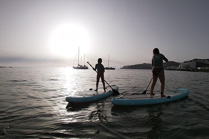 2 Hour Stand Up Paddle Lesson in Gran Canaria - Out on the water: technique, open-water confidence, and fish spotting