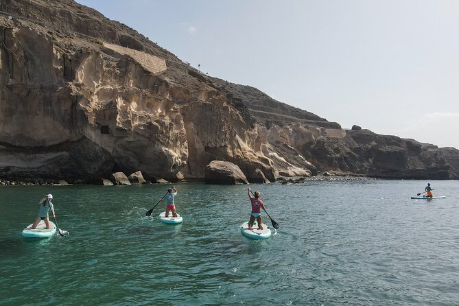 2 Hour Stand Up Paddle Lesson in Gran Canaria - Price and value: is $64.71 worth it?