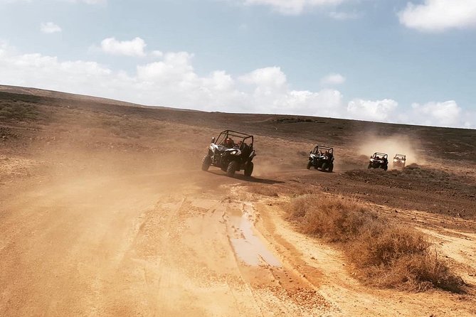 2h Buggy Tour guided by the north of Lanzarote - Key things to know before you hit the throttle
