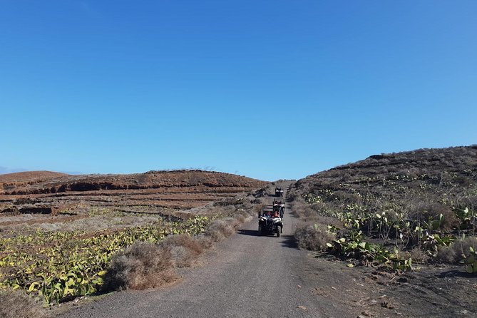 2h Buggy Tour guided by the north of Lanzarote - Why the guide’s commentary changes the experience