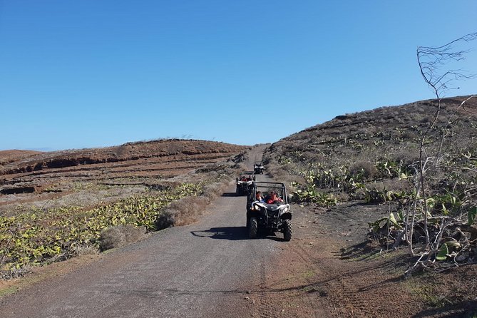 2h Buggy Tour guided by the north of Lanzarote - License and eligibility: who can drive?