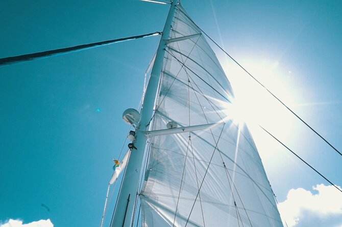 2hrs Dolphins Sunset Sailing Cruise With Drink - Sea Comfort Tips That Actually Matter