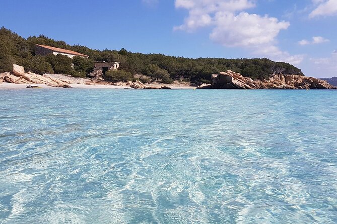 3-Catamaran from Cannigione to the islands of the Archipelago - Price and What’s Included: Where the $131.87 Really Goes