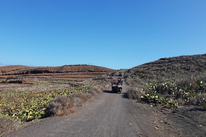 3-hour Buggy Tour from Costa Teguise - Terrain and views: what you’re actually doing for 3.5 hours