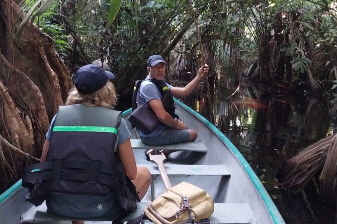 3-hour canoe tour through Tortuguero National Park - Price and park entry: what your $24 turns into