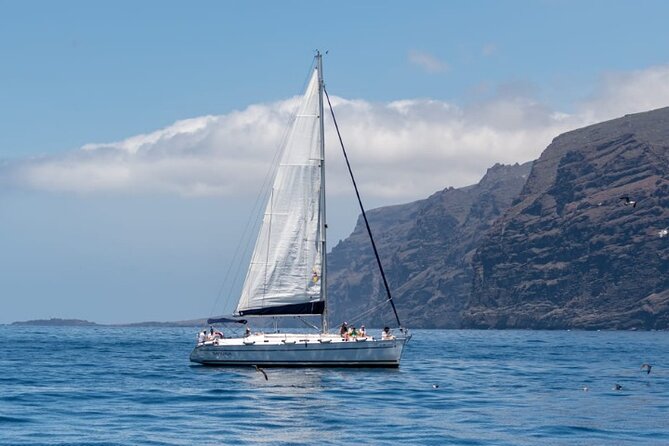 3-Hour Cetacean Watching and Snorkeling Tour in Tenerife - Whale Watching on the Cliffs: How to Get the Most From Your Viewing Time