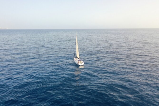 3-Hour Cetacean Watching and Snorkeling Tour in Tenerife - Timing and Flow: Why 3 Hours Feels Like the Right Amount
