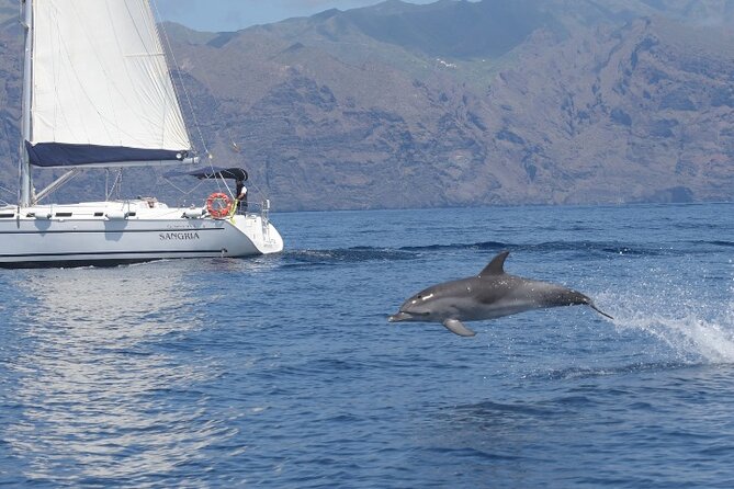3-Hour Cetacean Watching and Snorkeling Tour in Tenerife - FAQ