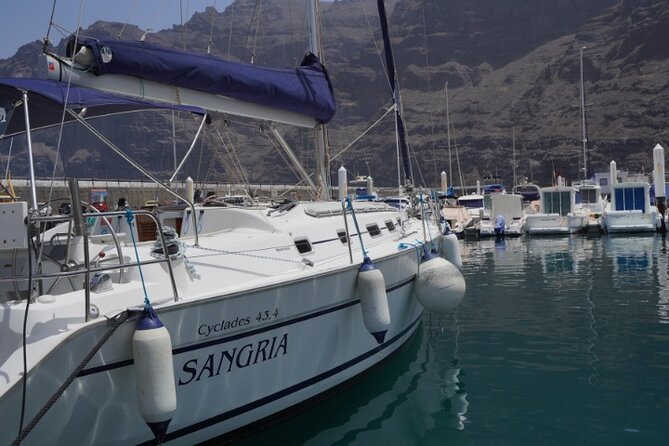 3-Hour Cetacean Watching and Snorkeling Tour in Tenerife - Masca Bath and Snorkeling: The Part You’ll Talk About