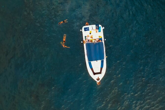 3-hour excursion to Puerto Colón Adeje to see whales - The whale-watching run toward Gomera: how they structure the time