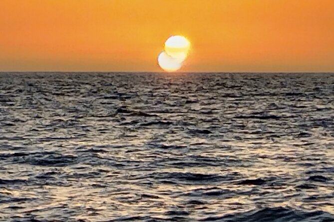 3-hour excursion to Puerto Colón Adeje to see whales - Price and value: why $51.66 can feel fair for a 3-hour plan
