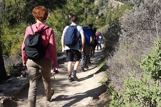 3-Hour Hiking Experience in Roque Nublo - The Gentle Ascent and the Walk Around the Rock